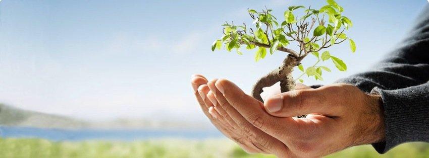 Lloyds Bank launches online life insurance