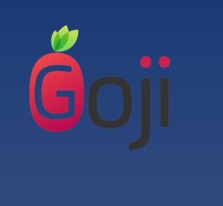Goji officially launches enabling leading P2P lenders to diversify into P2P ISA market