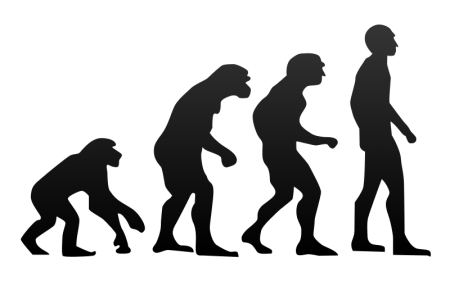 The Evolution of Banking