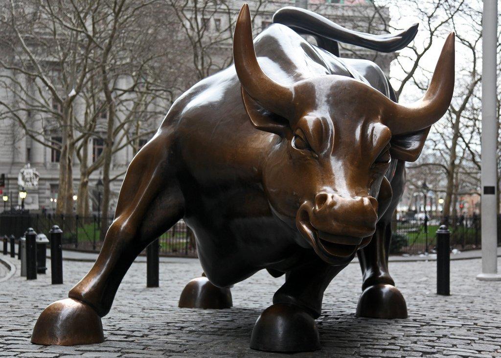 Ep224 – Taking the Bull by the Horns