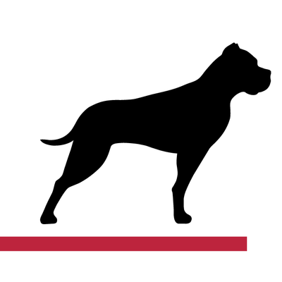 GP Bullhound Releases Fintech: Anything but Alternative