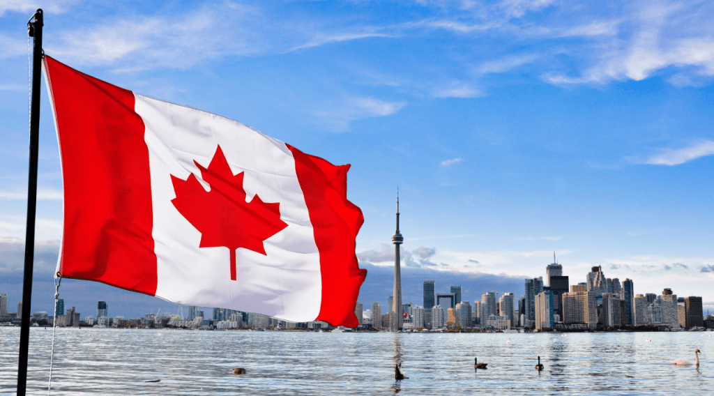 TransferWise Launches the Borderless Account in Canada