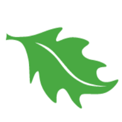 Green Park Boosts CFO Practice with David Sayers