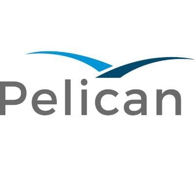 Intesa Sanpaolo selects Pelican for AI-based sanctions self-learning
