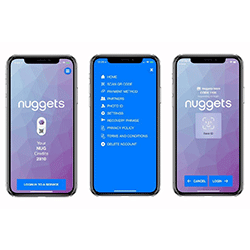 Nuggets Payment and Identity Privacy Platform Launches Alpha
