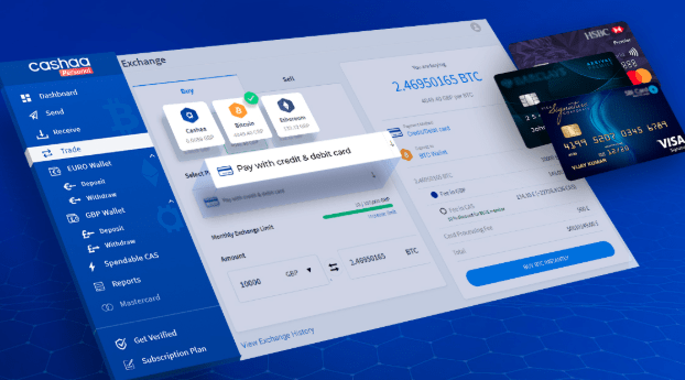 Cashaa added Mastercard and Visa Credit/Debit Card for Crypto Purchases