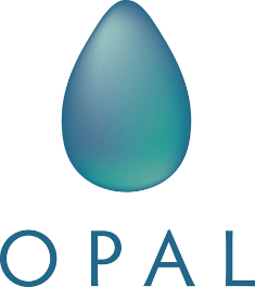 OPAL IS launches replatforming guidance for banks and insurers