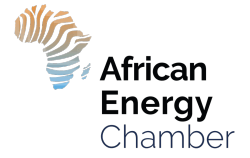 Nigeria set to advance gas plans during the 3rd annual Nigeria International Petroleum Summit (NIPS) conference