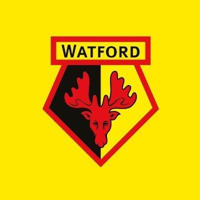 Equals announces partnership with Premier League’s Watford FC