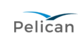 Pelican Partners with Banking Labs to bring AI-based payments and compliance solutions to the Canadian market