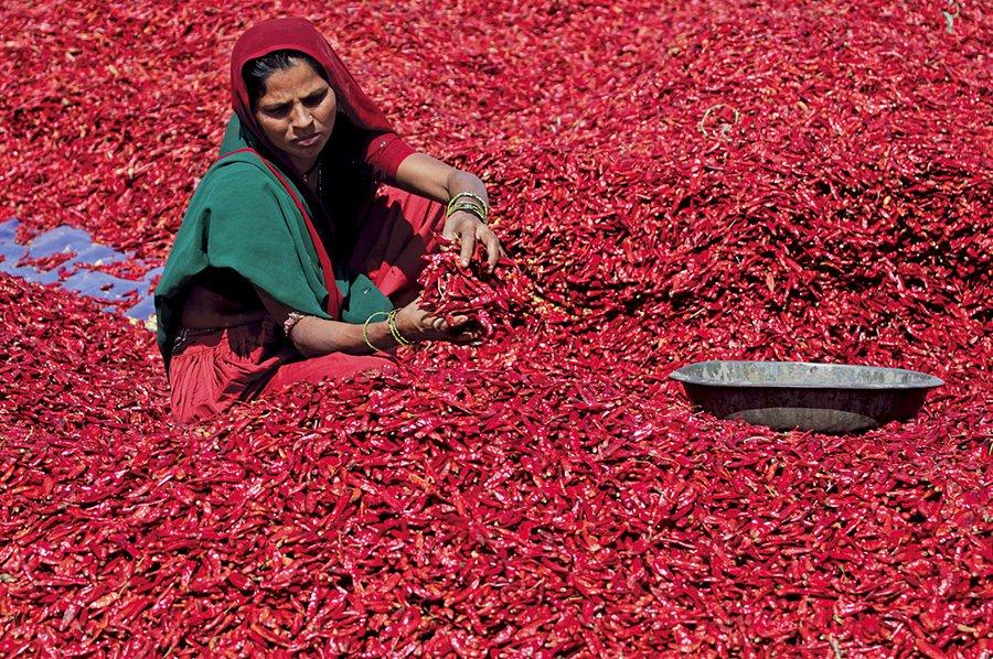 SME Marketplace unlocks financial access for 75,000 Indian farmers, aims to repair Coronavirus-hit supply chain