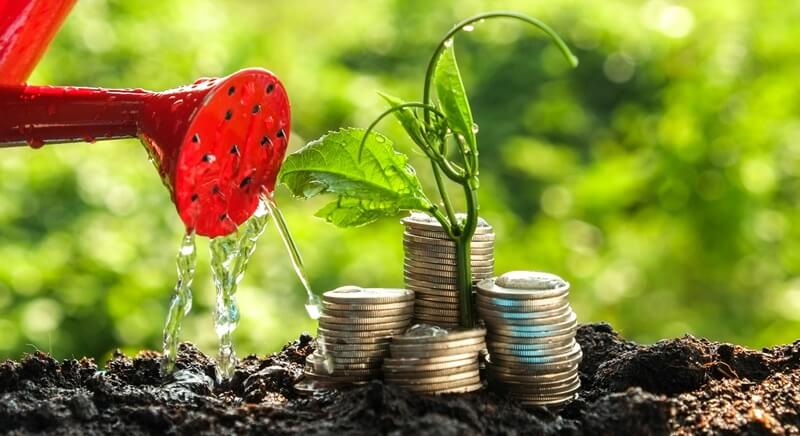Delta Exchange Launches Interest-Bearing Accounts