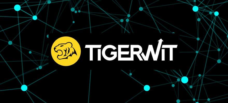 TigerWit Announces Record Revenue in Latest Financial Year