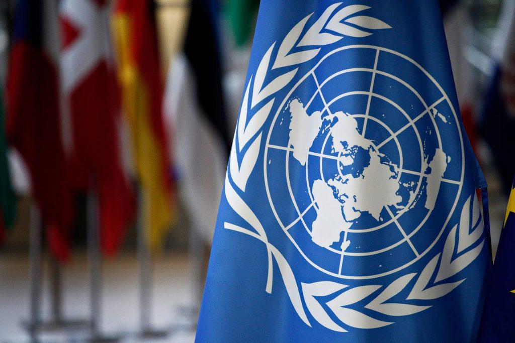 CBI’s CEO Liliana Fratini Passi appointed Vice President at UN/CEFACT