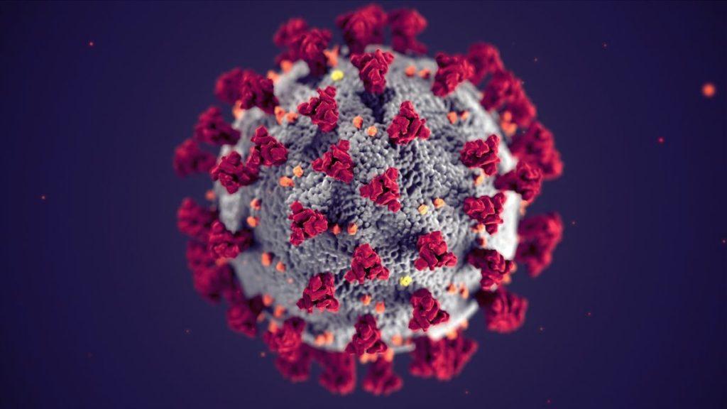 FOLK2FOLK injects £17.3m into SMEs during pandemic