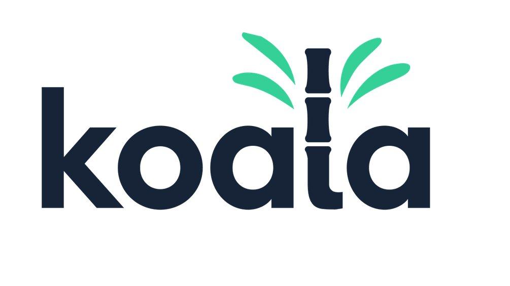 Koala is reinventing travel insurance, closing a €1.6m seed round led by Insurtech Gateway | Fintech Finance