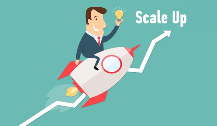 MirrorWeb joins world-leading tech startups in Microsoft ScaleUp program