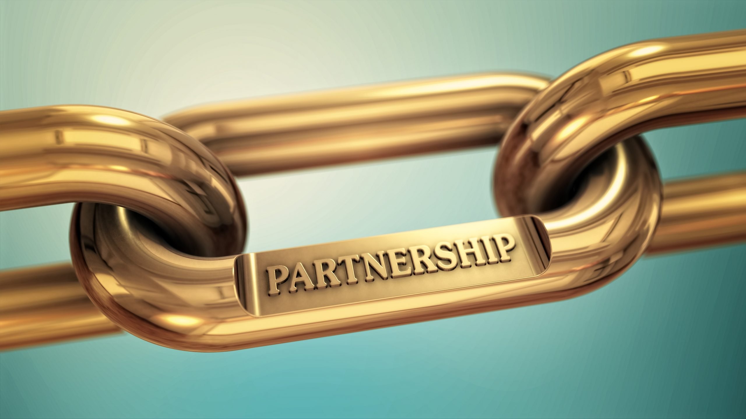 B-North partners with Wiserfunding for SME credit risk assessment