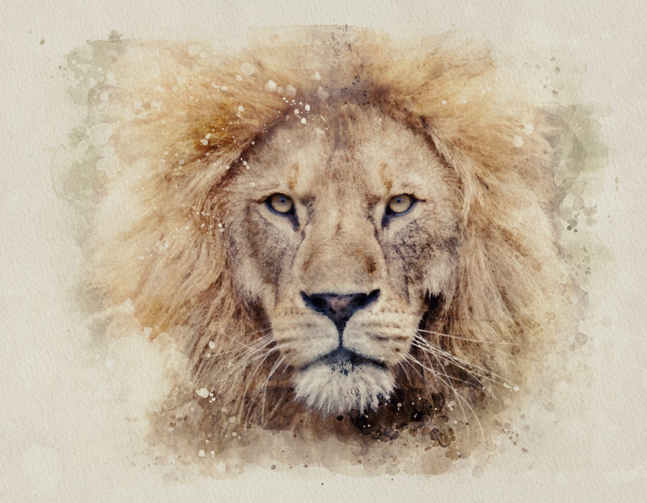 MoneyLion Launches RoarMoney, an Advanced Mobile Banking Experience