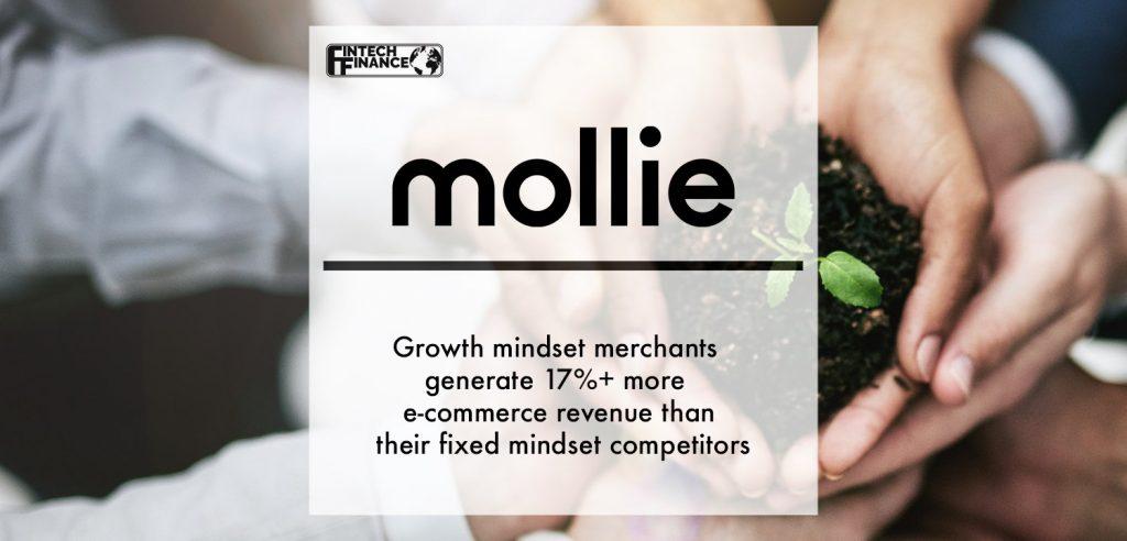 Growth mindset merchants generate 17%+ more e-commerce revenue than their fixed mindset competitors