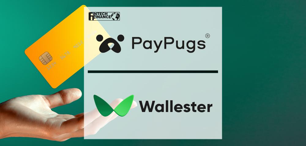 PayPugs Launches Virtual Debit Cards with Wallester partnership | Fintech Finance