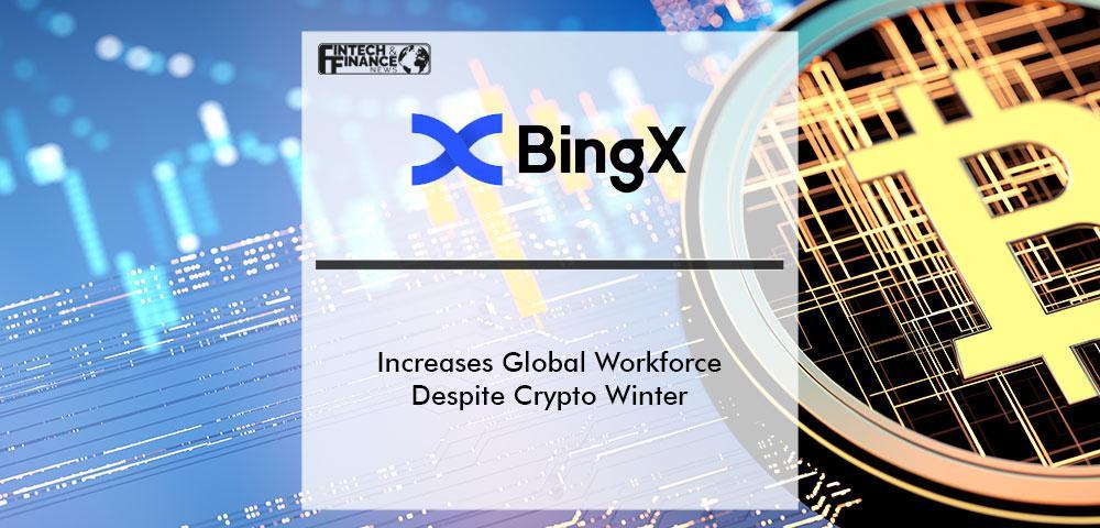 BingX Increases Global Workforce Despite Crypto Winter | Fintech Finance
