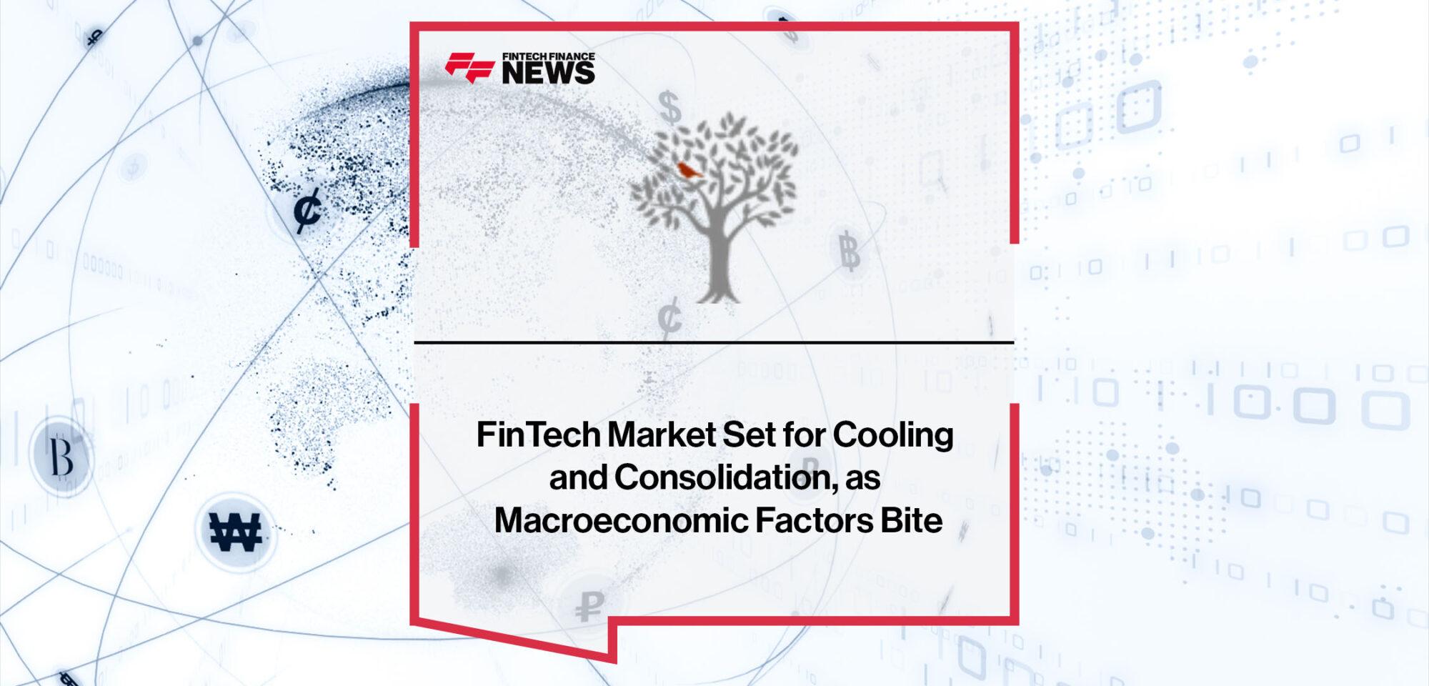 FinTech Market Set for Cooling and Consolidation, as Macroeconomic Factors Bite | Fintech Finance