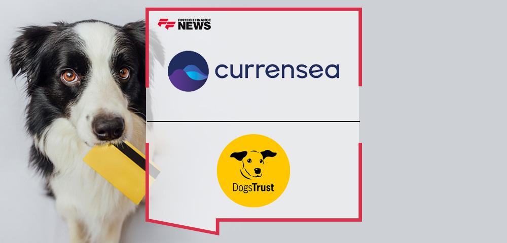 Dogs Trust launches debit card with fintech Currensea to boost donations as cost-of-living crisis piles pressure on animal shelters