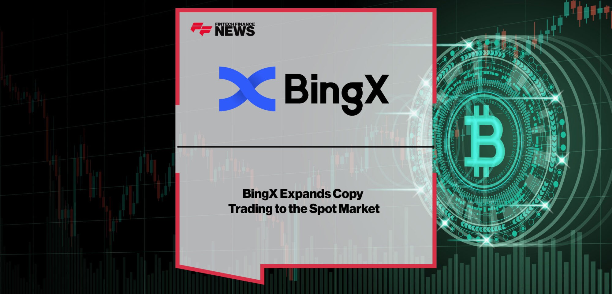 bingx2.jpg