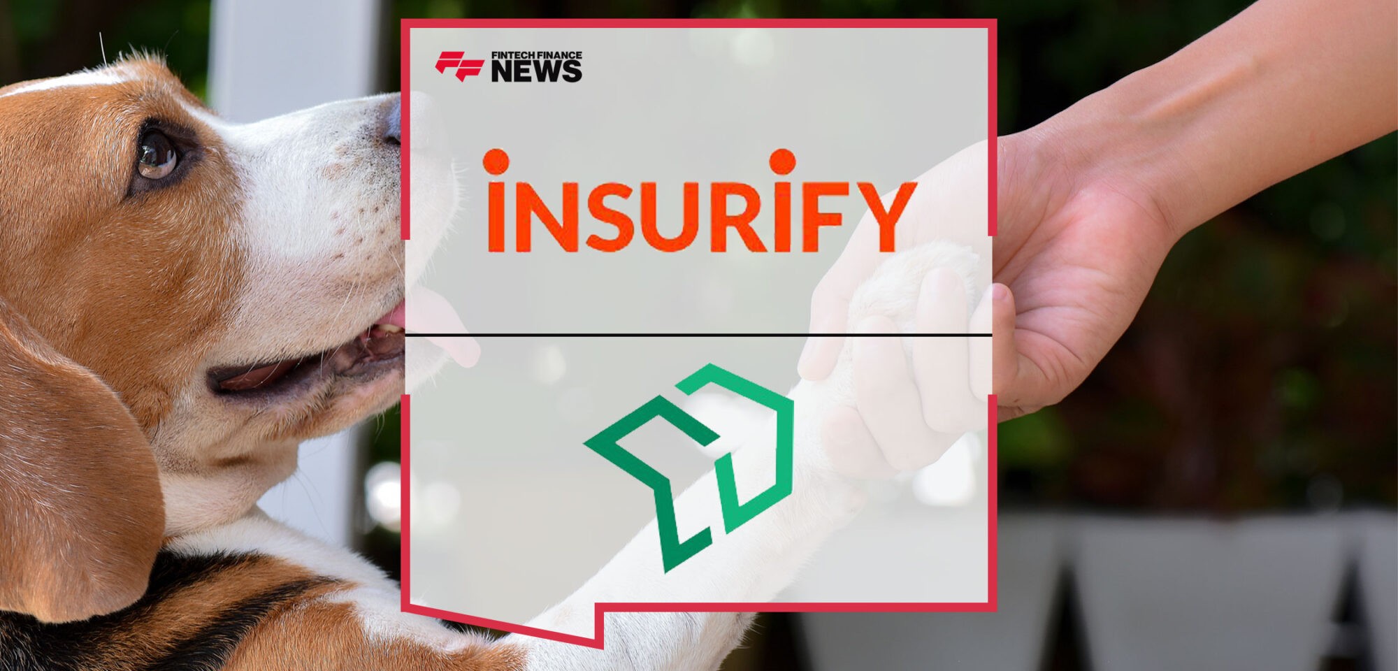 Insurify-Leverages-Fletch's-Technology-to-Add-Pet-Insurance|Insurify-Leverages-Fletch's-Technology-to-Add-Pet-Insurance
