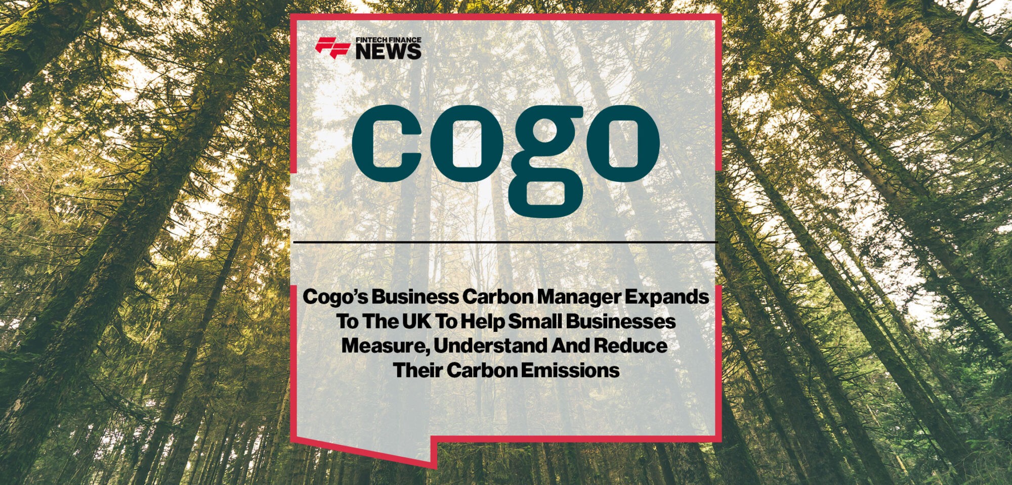 cogo.jpg