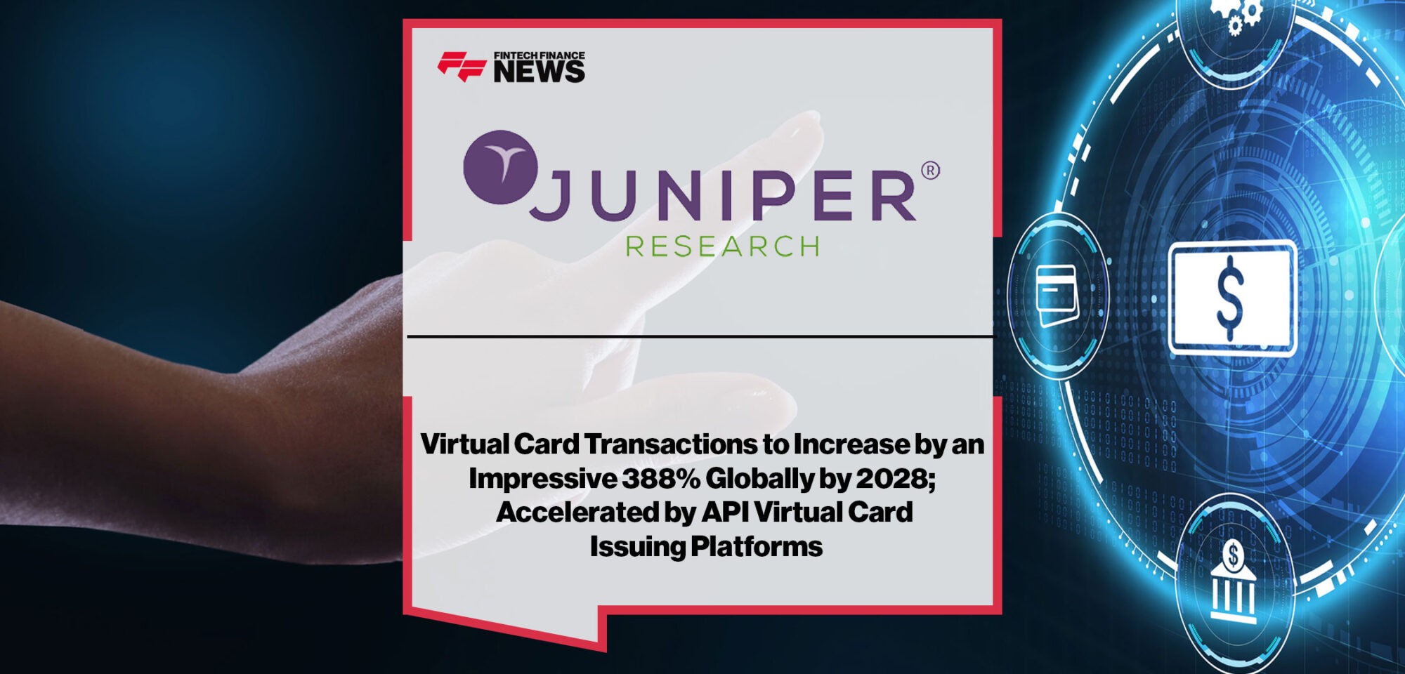 juniper4.jpg
