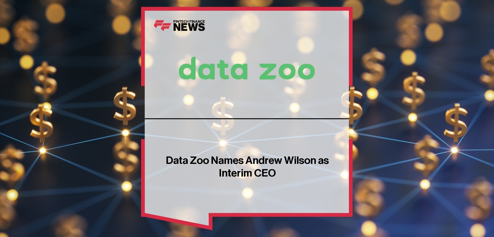 Data Zoo Names Andrew Wilson as Interim CEO