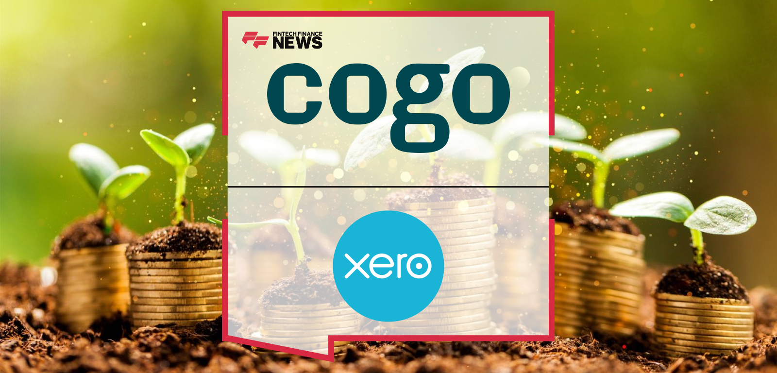 Cogo Partners With Xero to Help Small Businesses Take Positive Climate Action